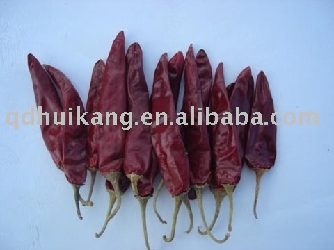 Jinta chilli