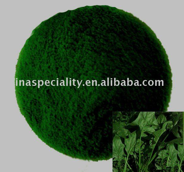 Spinach powder