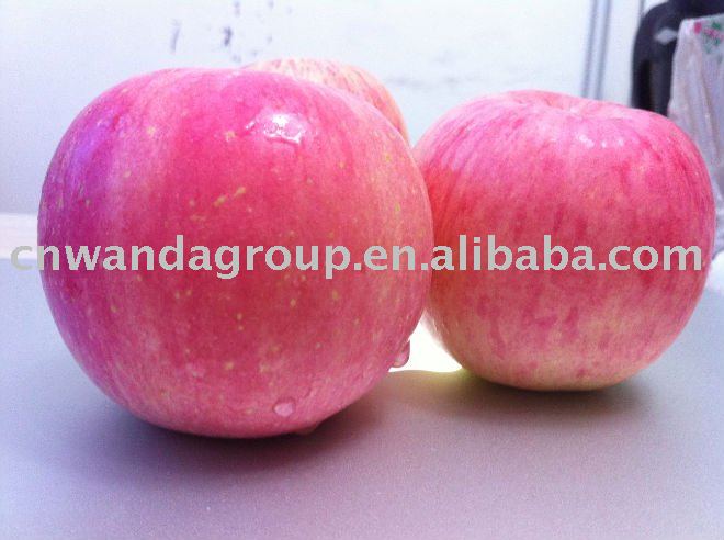 Chinese Yantai delicious Fuji apple sell 2011