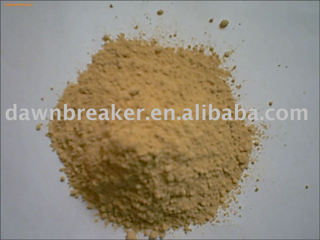 ginger powder ( dry ginger / dried ginger )