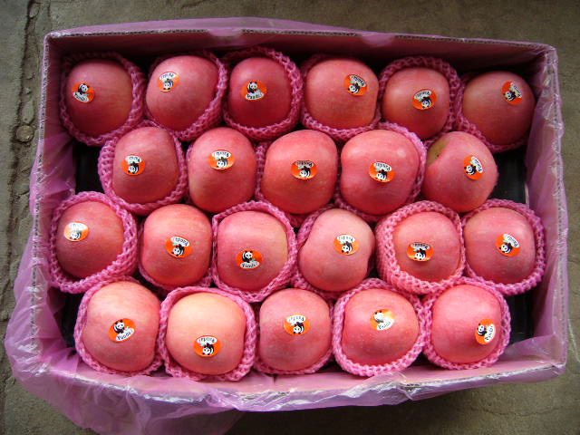 Shandong produced Apples