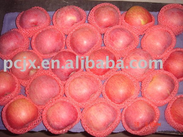 paper bagged red fuji apple