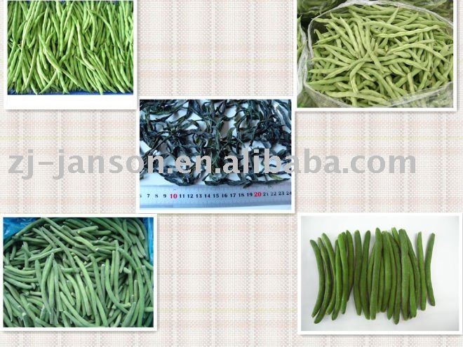 Dehydrated vegetable-Chinese Dried Green String Beans
