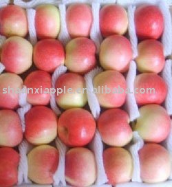 wholesales shaanxi 20kg red gala apple