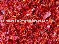 Dehydrated tomatoes