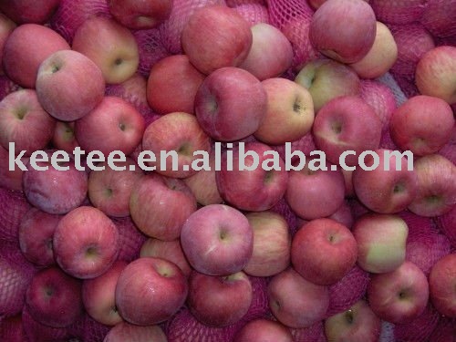 top chinese fresh juicy red fuji apple