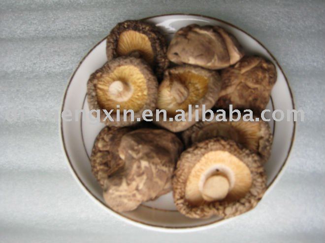 dried shiitake