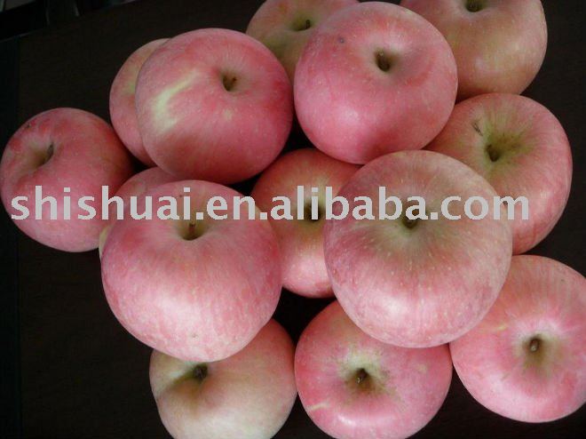 Chinese Fuji Apples Delicious And Crispchina Ss Price Supplier 21food