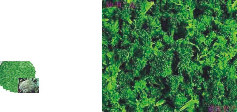  dehydrated   broccoli 