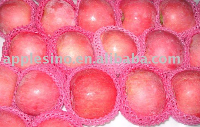 Fresh Red Fuji Apples 2010 New Crop