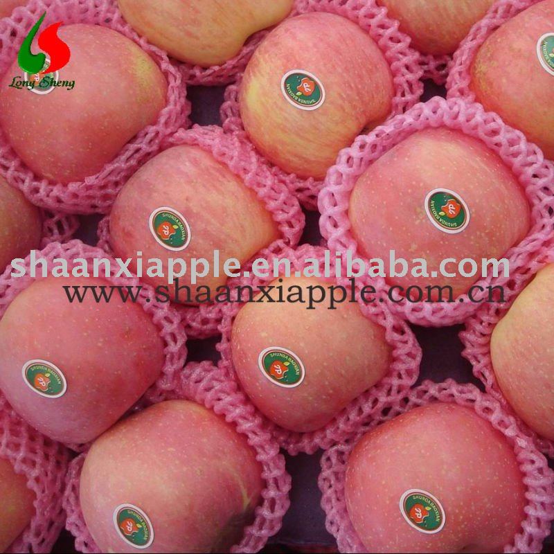 supply shaanxi red fuji apple