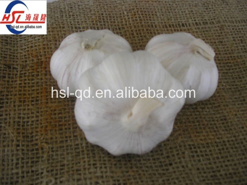 peeled pure white fresh garlic