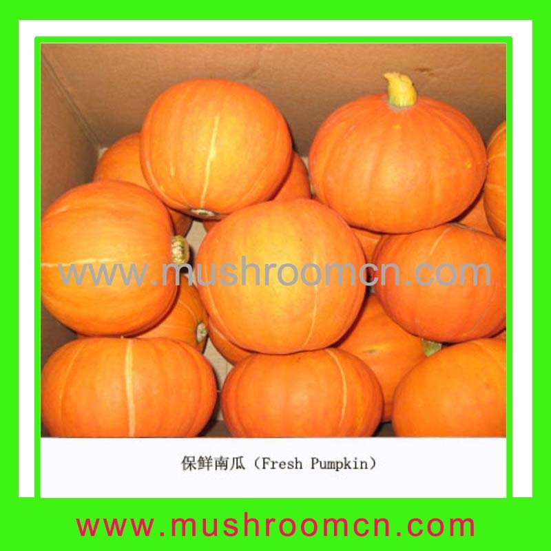 Fresh Pumpkin