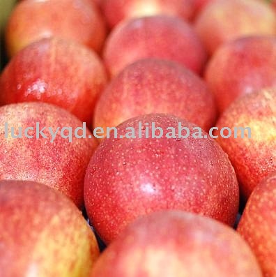 crystal fuji apple 150 size