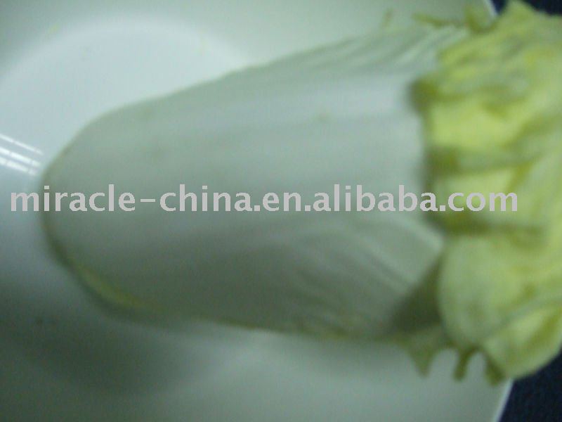 simulation  cabbage  SC009