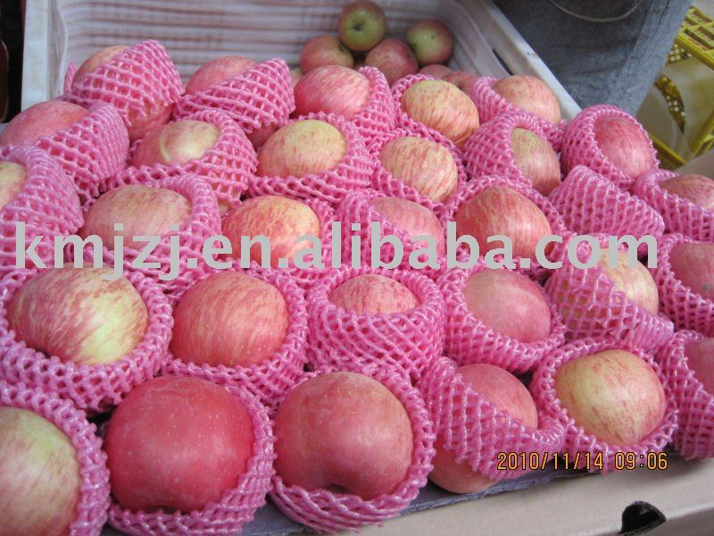 Red Fuji apple