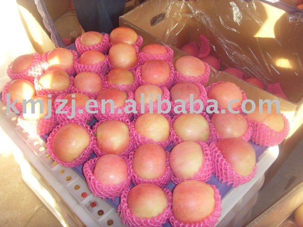 Fresh Red fuji apple