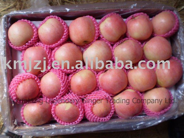Red Fresh Fuji apple