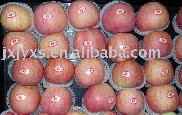 Fuji  Apple   New   Apple 