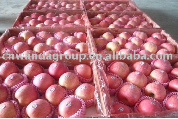 2010 new fuji apple