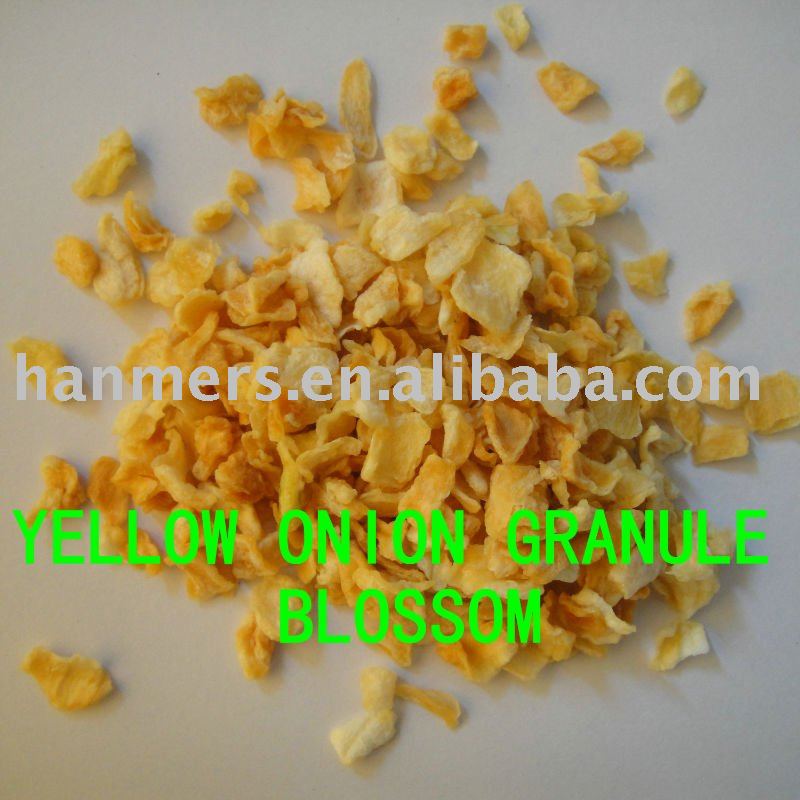  dried   yellow   onion  slice