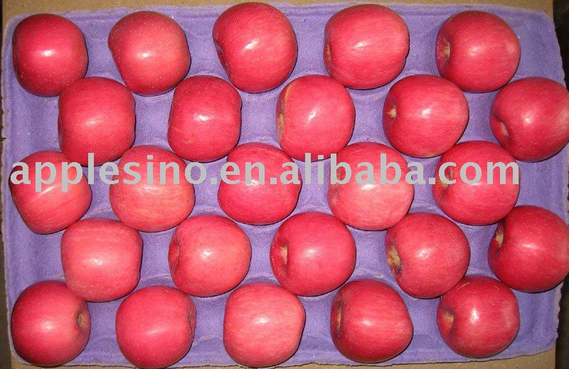 2010 New Crop Fresh Chinese Fuji Apple with Red Colour