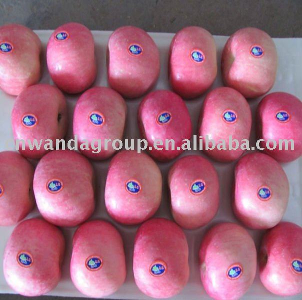 blush red fuji apples