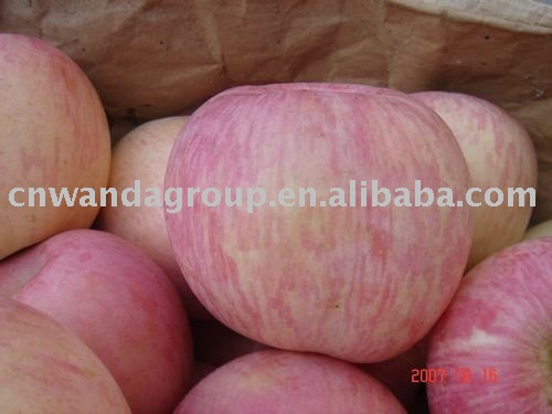 new fuji apple factory