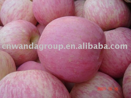 chinese  apple   factory 