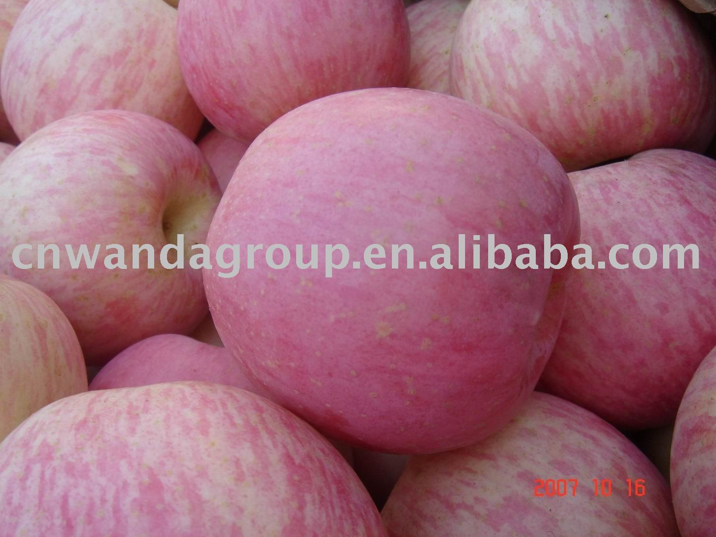 fine Fuji apples from Yantai
