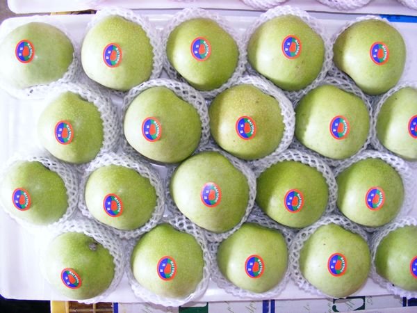 Fresh White  apple
