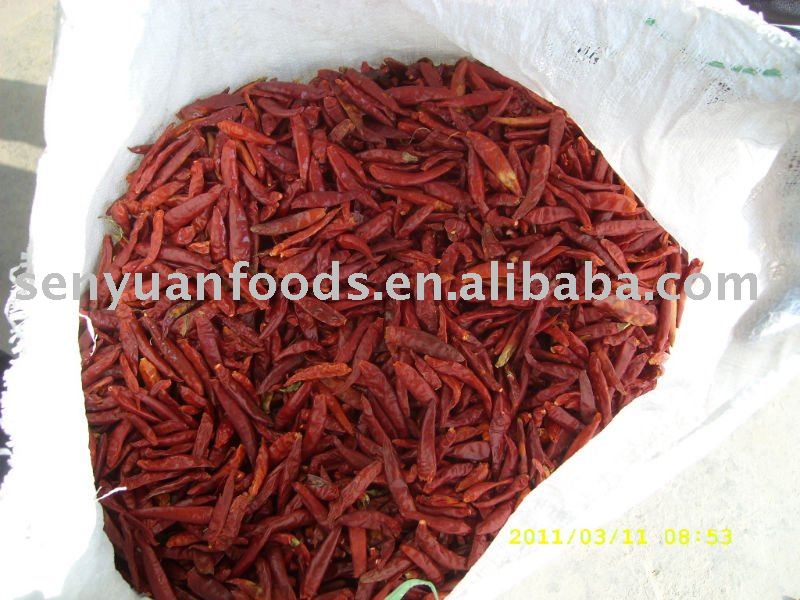 2011 hebei  small   red   chili 