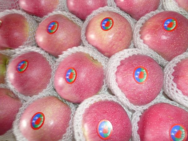apple