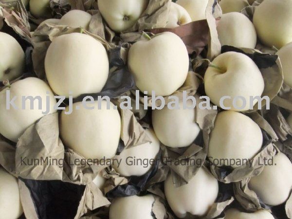Wholesale Fresh golden apple
