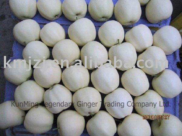 Sell  Fresh   golden  apple