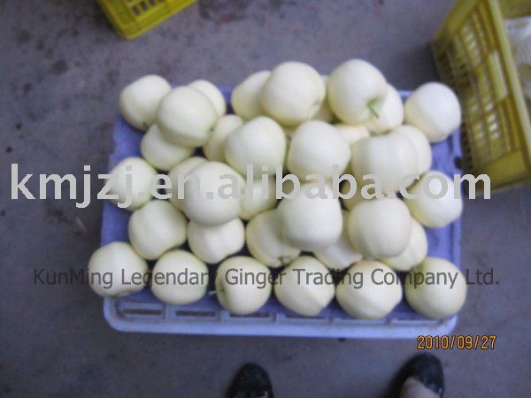 Hot sale Fresh golden apple