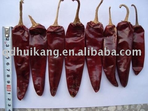 chinese jinta dried red chilli