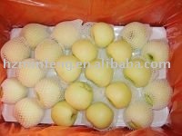  Fresh   Jonagold  Apple