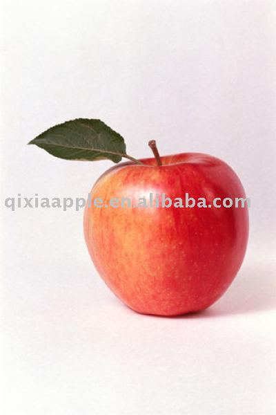 fresh red Fuji apple