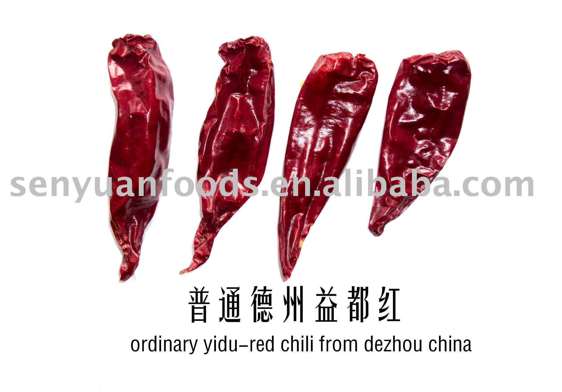 yidu hot chili pepper  red  chili