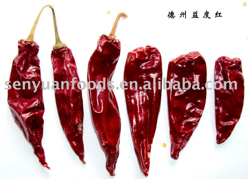 Dezhou yidu hot chili pepper  red  chili