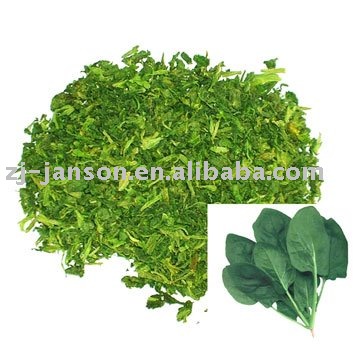 dehydrated vegetables-AD Broccoli-Zhejiang Janson