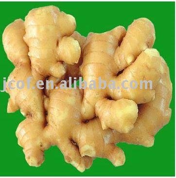 dehydrated ginger flakes, minced, powder 693