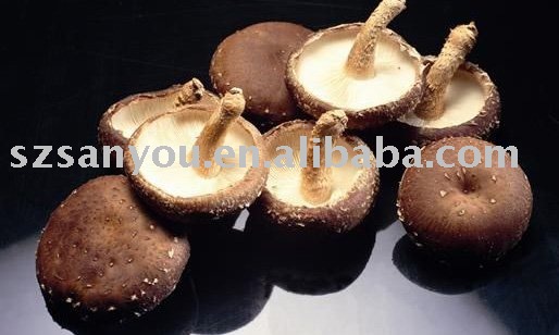 Shiitake