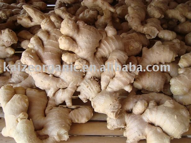 air-dried ginger