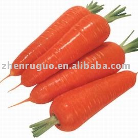 carrot powder 40-60mesh