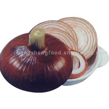 Dehydrated Onion Slice