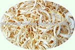  AD   onion 