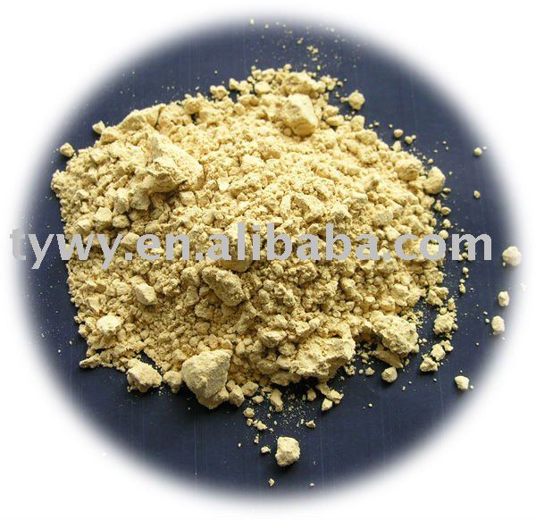 spices  ginger   powder 