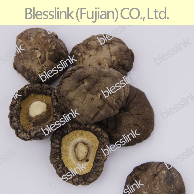 Dried Shiitake Mushroom